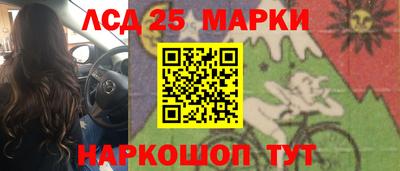прущие крисы Славгород