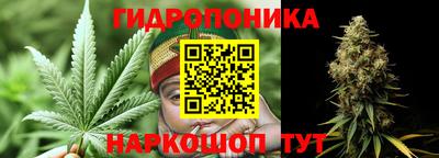 скорость Будённовск