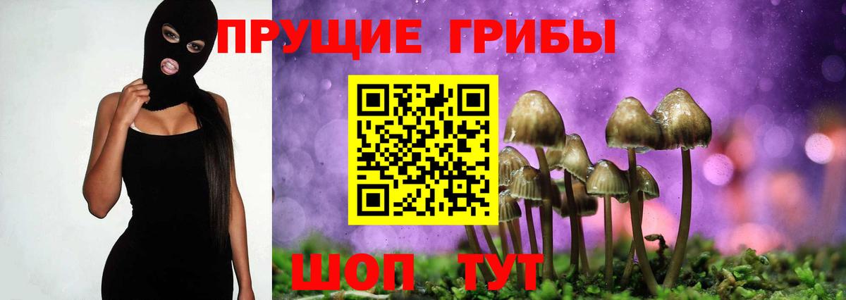 Галлюциногенные грибы ЛСД  Вход с VPN  купить наркотики цена  Новосибирск 