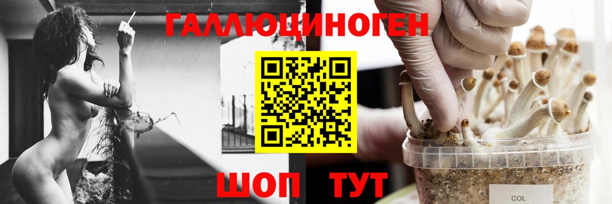 Галлюциногенные грибы мухоморы Новосибирск